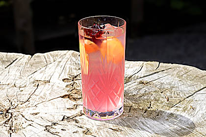 GIN Cocktail-Rezept