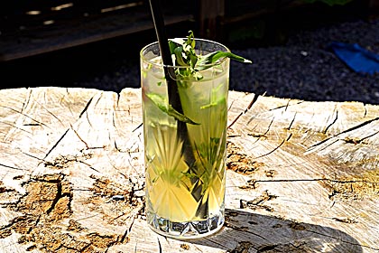 GIN Cocktail-Rezept