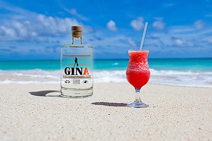 GIN Cocktail-Rezept